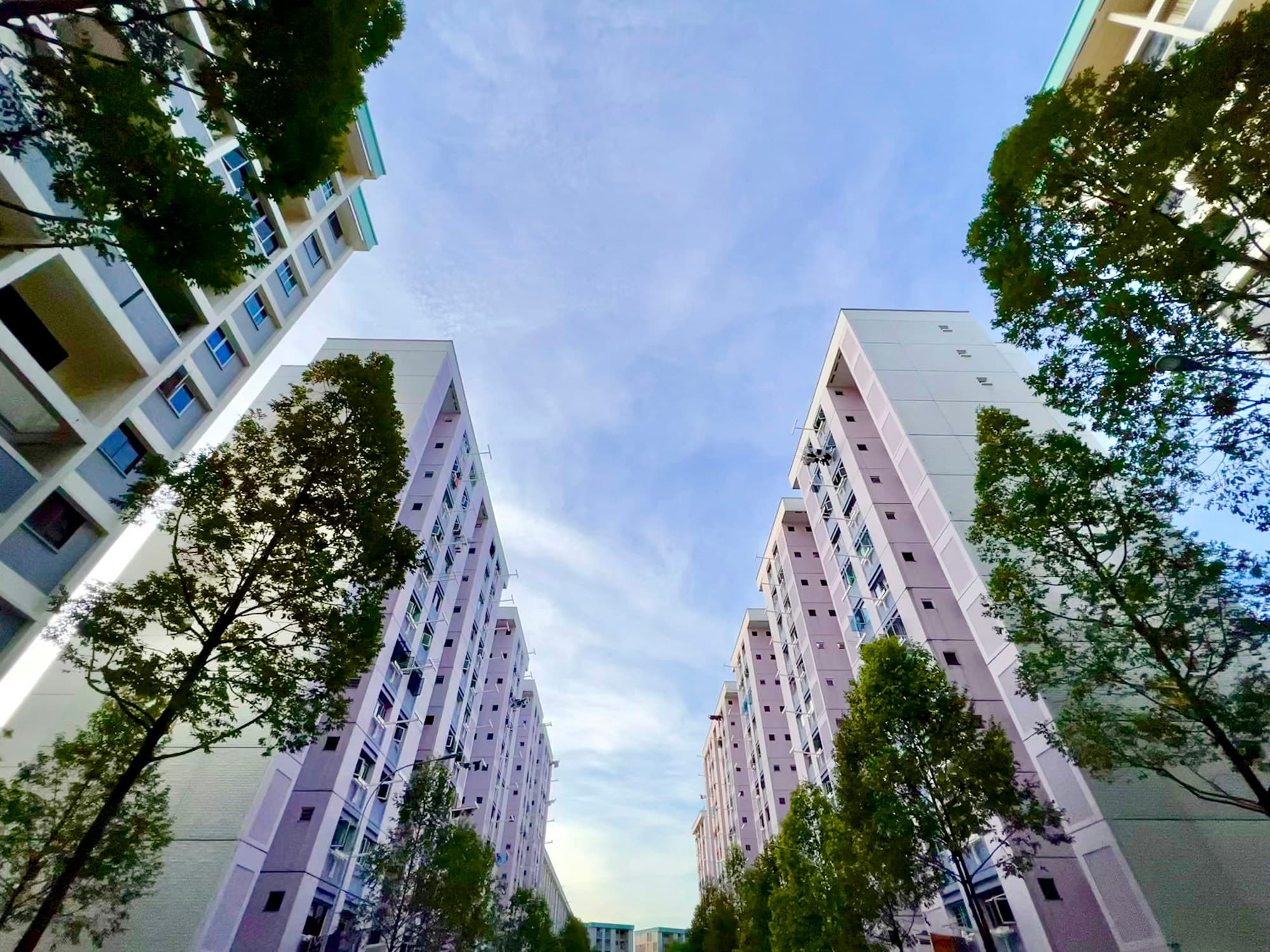 Singapore HDB apartment blocks surrounded by trees